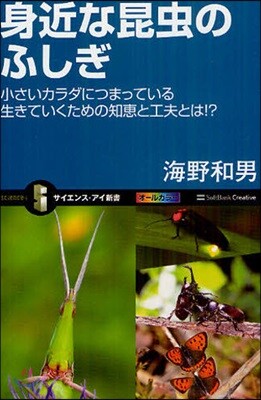 身近な昆蟲のふしぎ