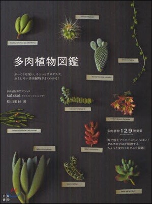 多肉植物圖鑑