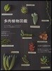 多肉植物圖鑑 ぷっくり可愛い,ちょっとグロテスク,おもしろい多肉植物がよくわかる! 多肉植物129種揭載寄せ植えアドバイスもいっぱい!