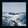 Takao - Stealth (LP)