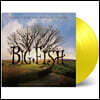 빅 피쉬 영화음악 (Big Fish OST by Danny Elfman) [수선화 옐로우 컬러 2LP]