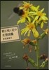 野にさくく花の生態圖鑑
