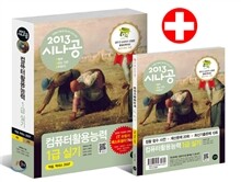 2013 시나공 컴퓨터활용능력 1급 실기