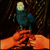 Andrew Bird - Are You Serious (Deluxe Edition)(Gatefold)(180G)(LP+7" Single LP)