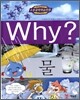 Why? 와이 물