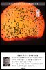황혼 - 한설야 한국문학선집 (장편소설)