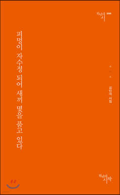 피멍이 자수정 되어 새끼 몇을 품고 있다