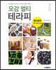 오감 멀티테라피