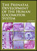 The Prenatal Development of the Human Locomotor System
