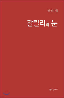 갈릴리의 눈