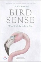 Bird Sense: What It&#39;s Like to Be a Bird