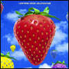 The Lightning Seeds (라이트닝 씨즈) - Jollification (Remastered) [2LP]
