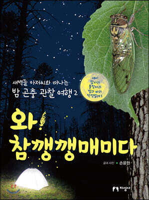 와! 참깽깽매미다