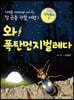와! 폭탄먼지벌레다