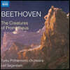Leif Segerstam 베토벤: 프로메테우스의 창조물 (Beethoven: The Creatures of Prometheus)