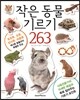 작은 동물 기르기 263