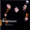 베토벤: 피아노 삼중주 전곡 (Beethoven: Complete Piano Trios) (4 for 3) - Trio Wanderer