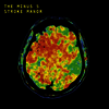 Minus 5 - Stroke Manor (MP3 Download)(LP)