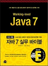 워킹 레벨 자바 7 실무 바이블