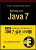 워킹 레벨 자바 7 실무 바이블