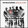 Wallflowers - Glad All Over