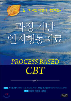 과정 기반 인지행동치료