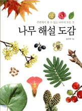 나무 해설 도감