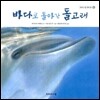 바다로 돌아간 돌고래