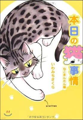 本日の猫事情 ねこまんたん編