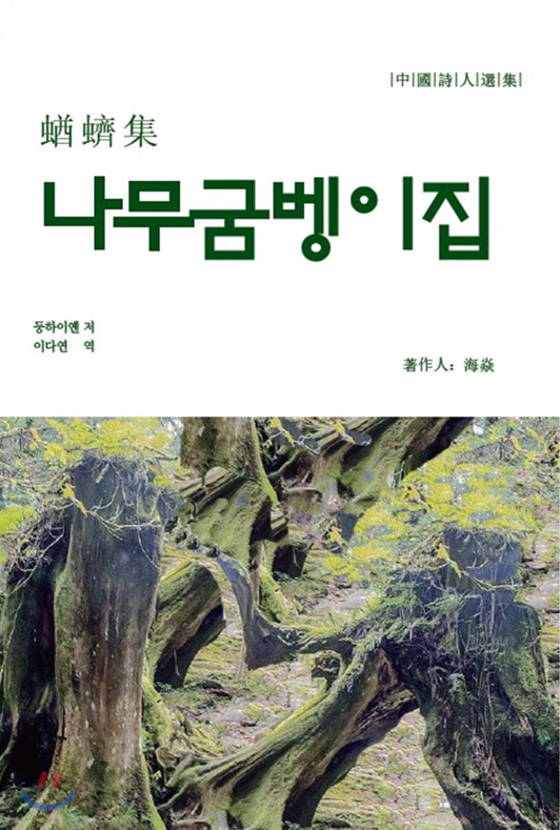 나무굼벵이집