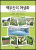 백두산의 야생화
