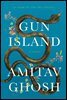 Gun Island