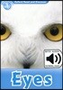Read and Discover 1: Eyes (with MP3)