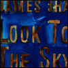James Iha - Look To The Sky (Download-Card)(Blue Vinyl)(LP)