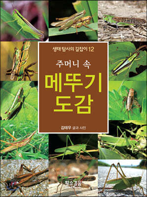 주머니 속 메뚜기 도감