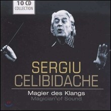 Sergiu Celibidache 음의 마술사 세르쥬 첼리비다케 (Magician Of Sound)