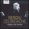 Sergiu Celibidache 음의 마술사 세르쥬 첼리비다케 (Magician Of Sound)