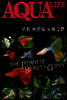 아쿠아라이프  Guppy Breeding Note 2