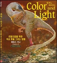 컬러 앤 라이트