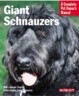 Giant Schnauzers