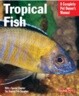 Tropical Fish