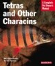 Tetras and Other Characins: Everything about History, Setting Up an Aquarium, Health Concerns, and S