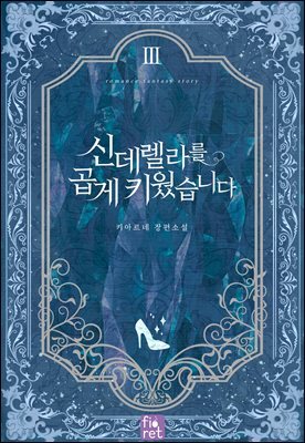 신데렐라를 곱게 키웠습니다 3권