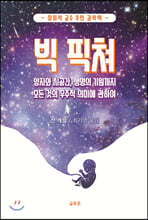빅 픽쳐