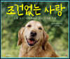 조건 없는 사랑