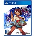 PS4 인디비지블 한글판