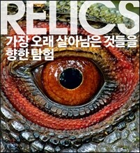 가장 오래 살아남은 것들을 향한 탐험