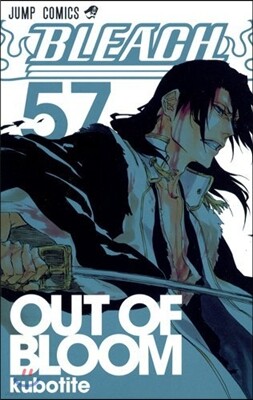 BLEACH－ブリ-チ－  57