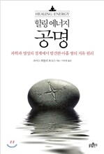 공명