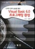Visual Basic 6.0 프로그래밍 완성